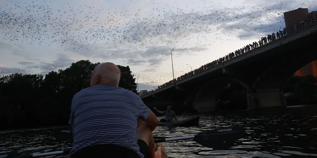 Kayakers watching the Austin bat emergence from Lady Bird Lake below Congress Avenue Bridge