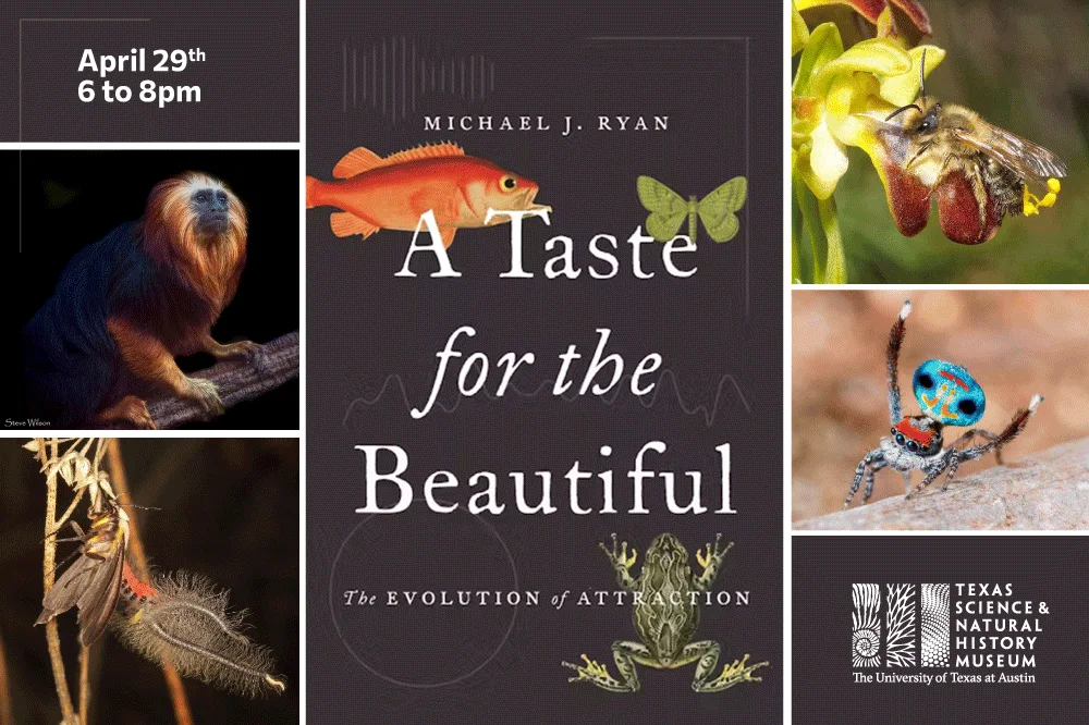 A Taste for the Beautiful