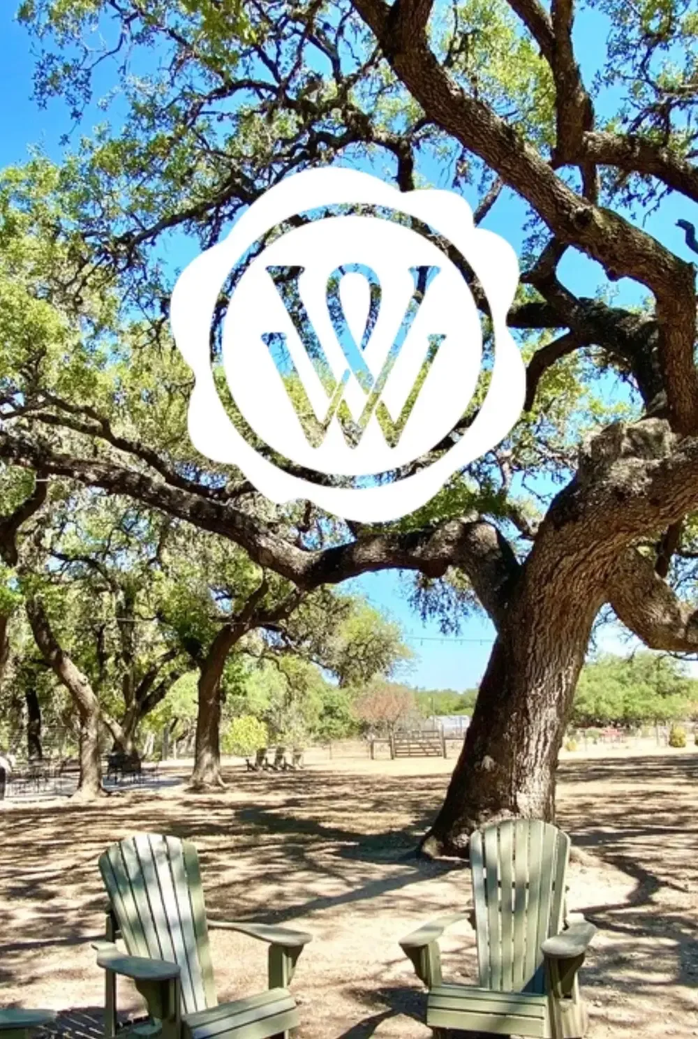 Wine Down Winery Tour by Austin Tour Company in Austin photo 9
