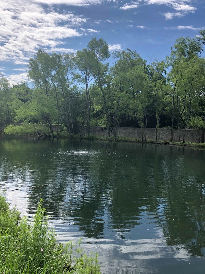 Yett Creek Neighborhood Park in Austin, Texas