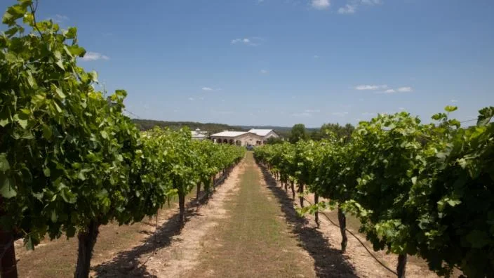 Flat Creek Estate Vineyard & Winery listing photo
