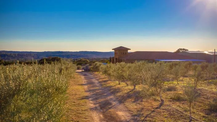 Texas Hill Country Olive Co. listing photo