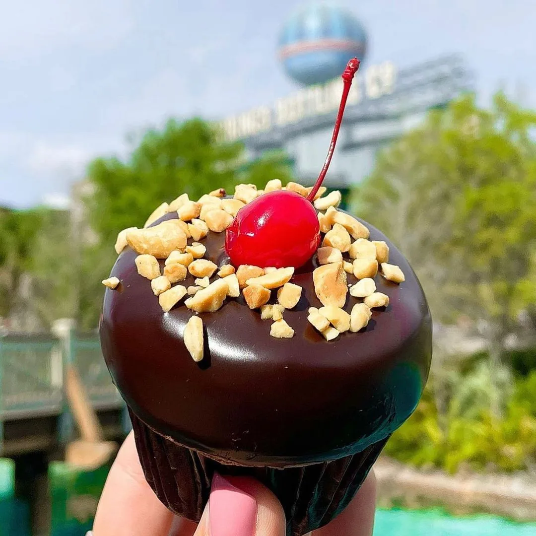 Austin Sprinkles Cupcakes in Austin, Texas