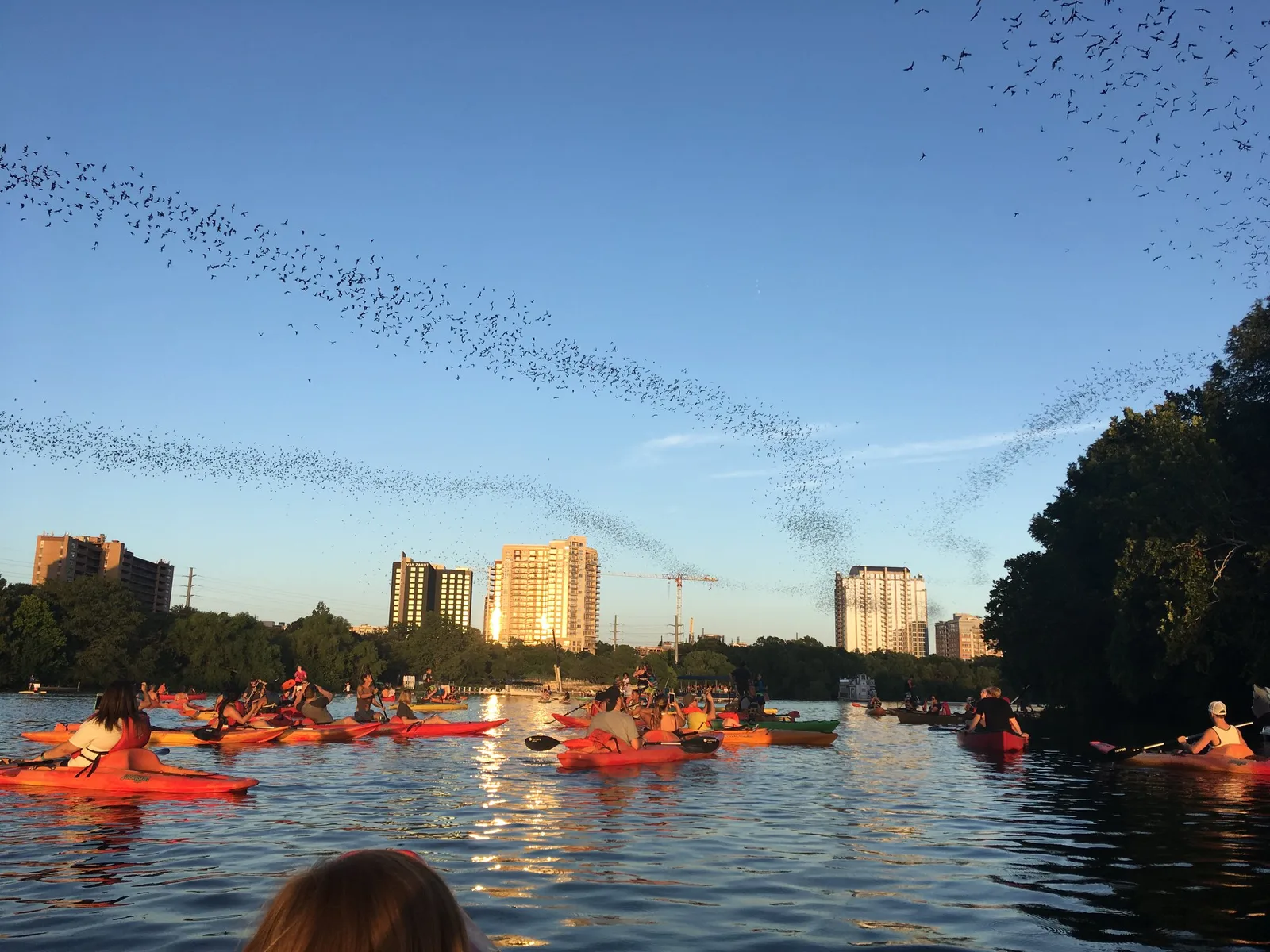 Live Love Paddle in Austin, Texas